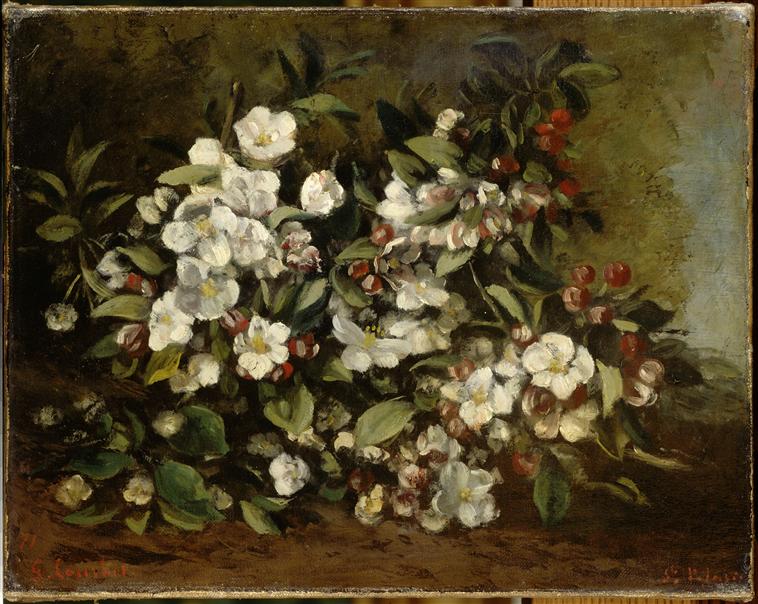 Branche de pommier en fleurs, dit aussi fleurs de cerisier