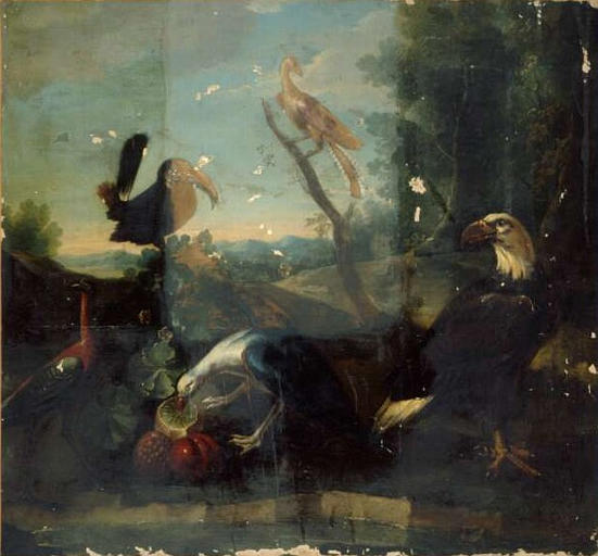 AIGLE A TETE BLANCHE ET QUATRE AUTRES OISEAUX DONT UN BECQUETTE UNE GRENADE