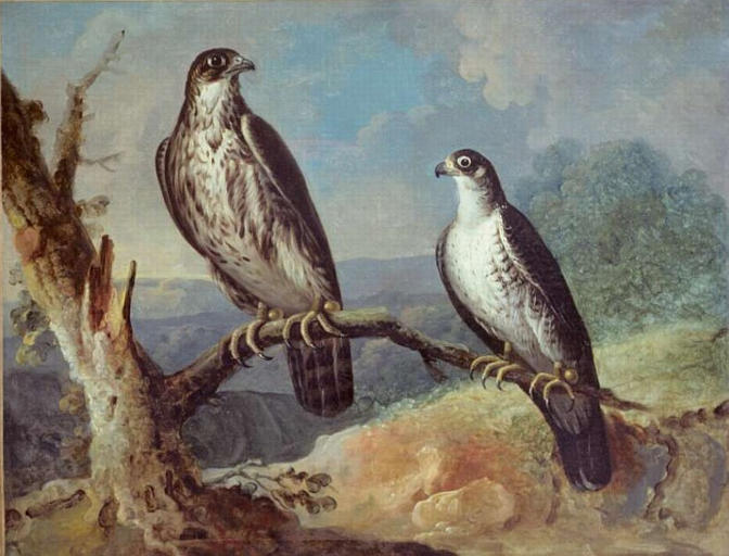 DEUX FAUCONS