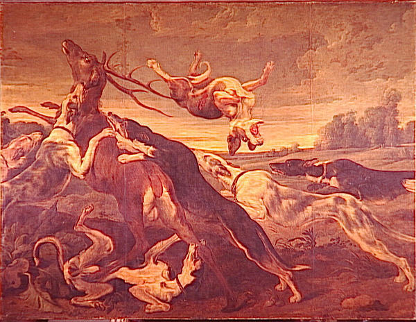 CERF ASSAILLI PAR UNE MEUTE