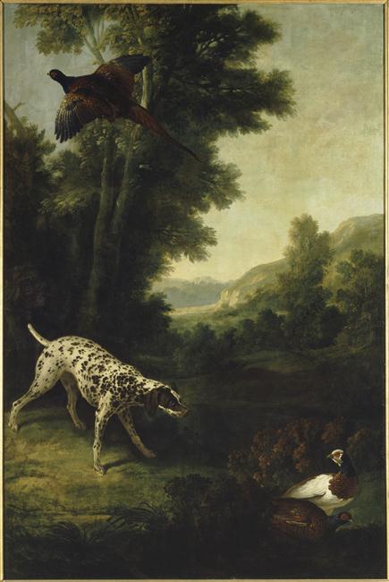 CHIEN EN ARRET SUR DES FAISANS