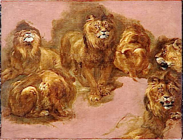ETUDES DE LIONNES