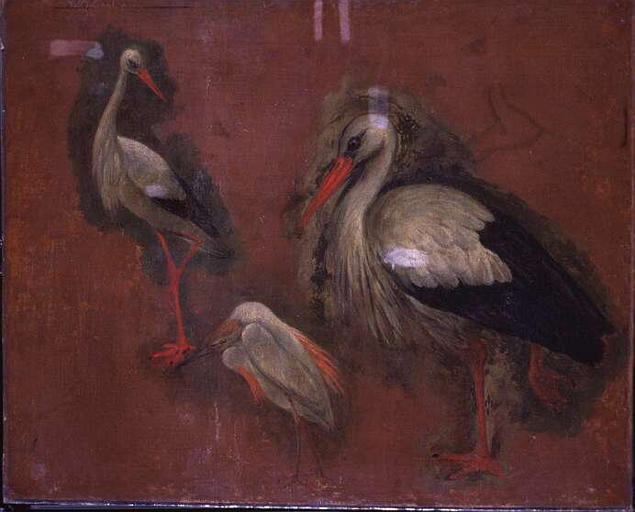 ETUDE DE HERONS