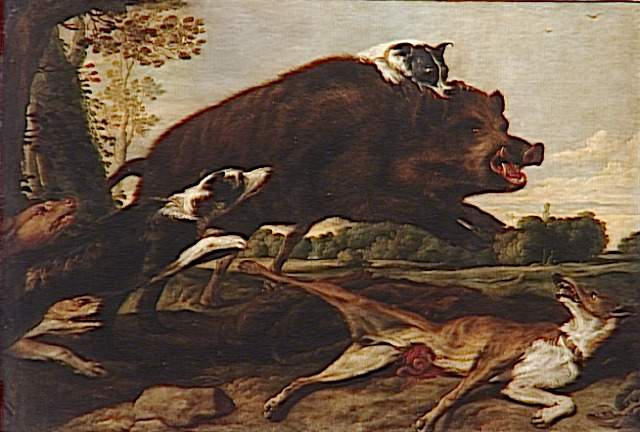 CHASSE AU SANGLIER