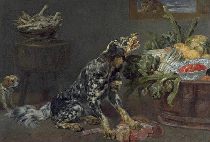 CHIEN DANS UNE CUISINE