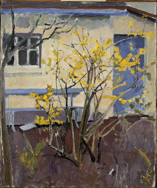 PAYSAGE, BUISSON JAUNE