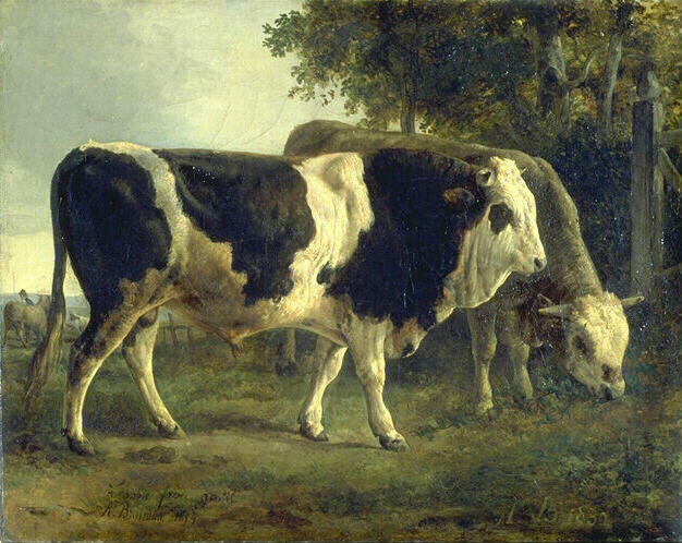 Deux taureaux