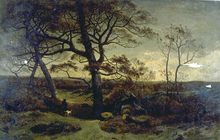 Lisière d'un bois