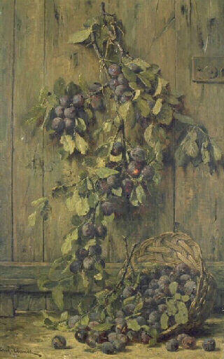 Branche de prunier