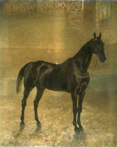 Le cheval de Monsieur Dohège