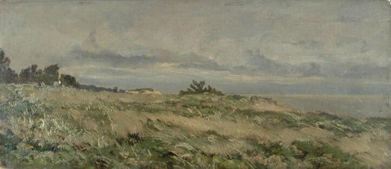 Lande près de la mer