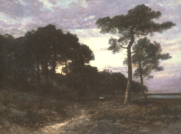 Paysage des Landes