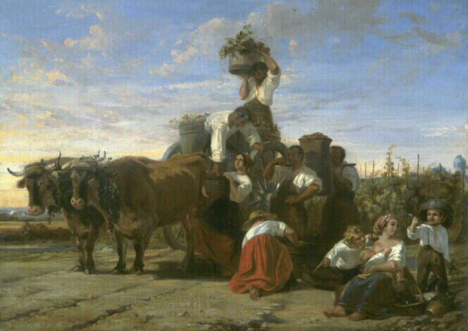 Vendanges dans le Médoc