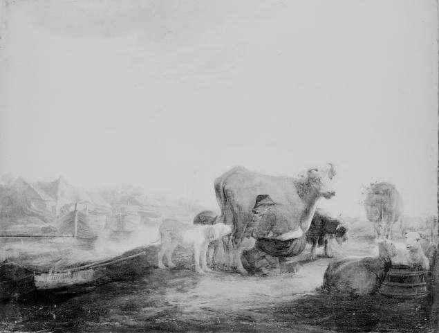 LA TRAITE DE LA VACHE ROUSSE