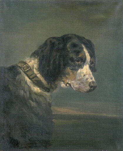 Tête de chien