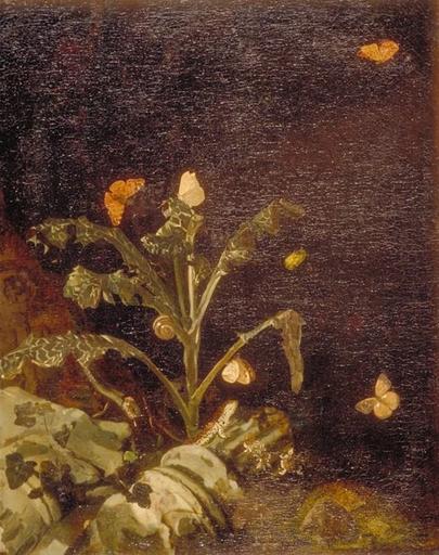 CHARDON, LEZARDS ET PAPILLONS AVEC UN TRONC D'ARBRE