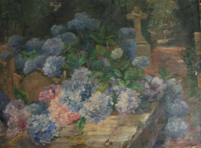 Hortensias (au cimetière de La Roche-sur-Yon)