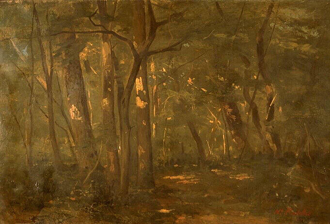 Sous-bois