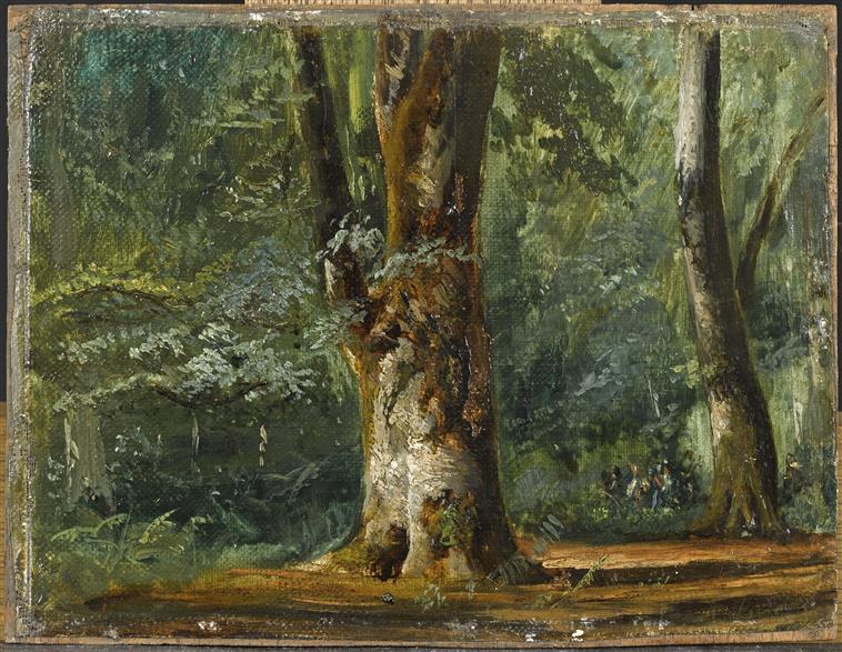 LA FORET DE COMPIEGNE