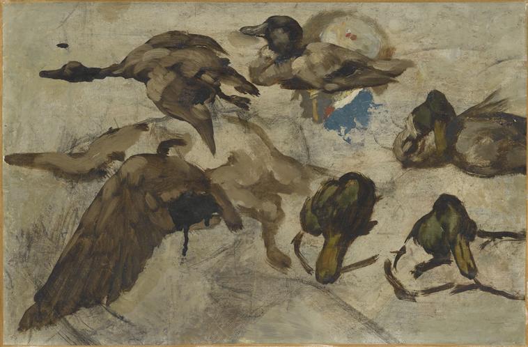 Canards