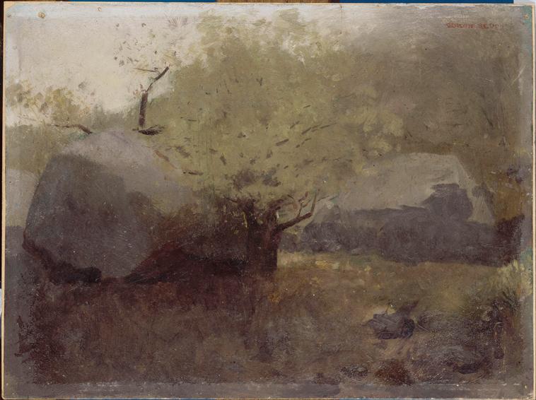 Meules couvertes de bâches près d'un arbre