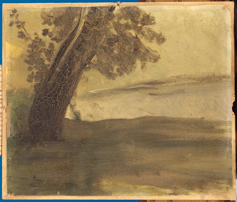 Tronc d'arbre dans la plaine