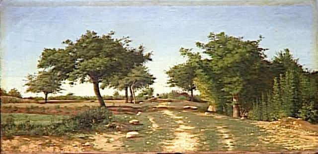 PAYSAGE ; CHEMIN SOUS LES POMMIERS
