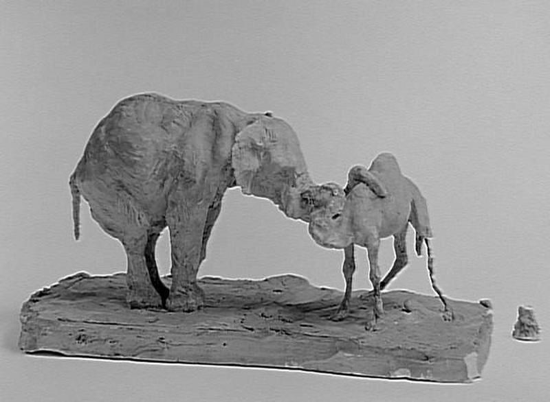 ELEPHANT ET DROMADAIRE