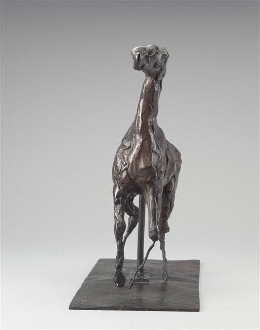 CHEVAL CARACOLANT