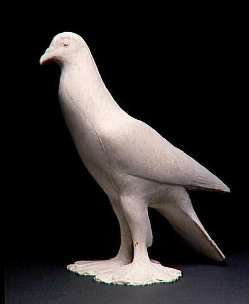 'nicolas' pigeon