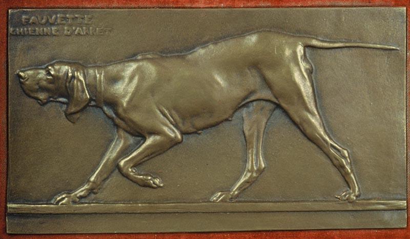 FAUVETTE, CHIENNE D'ARRET