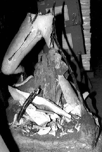 Tobie retirant le poisson de l'eau