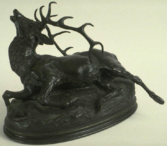 Cerf mourant