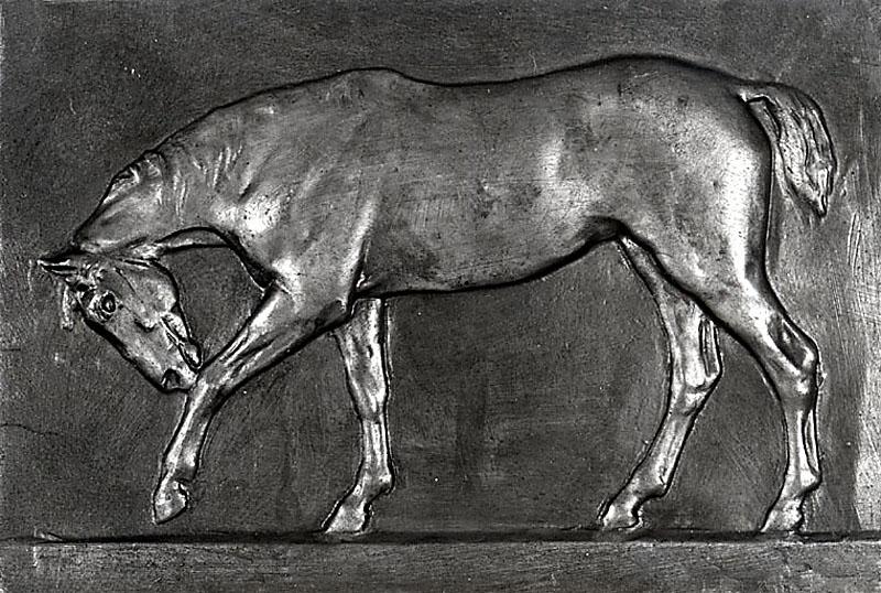 CHEVAL GRATTANT LA TERRE AVEC SON SABOT AVANT-GAUCHE