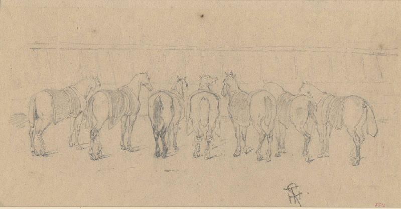 Etude de chevaux