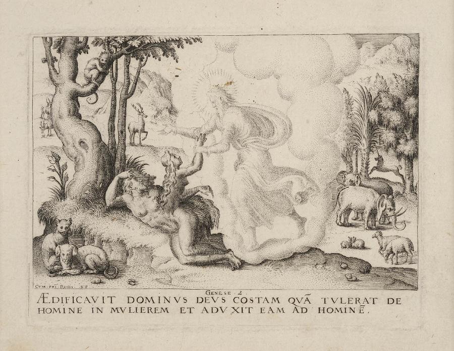 Histoire de la Genèse (03) : Eve créée pendant le sommeil d'Adam