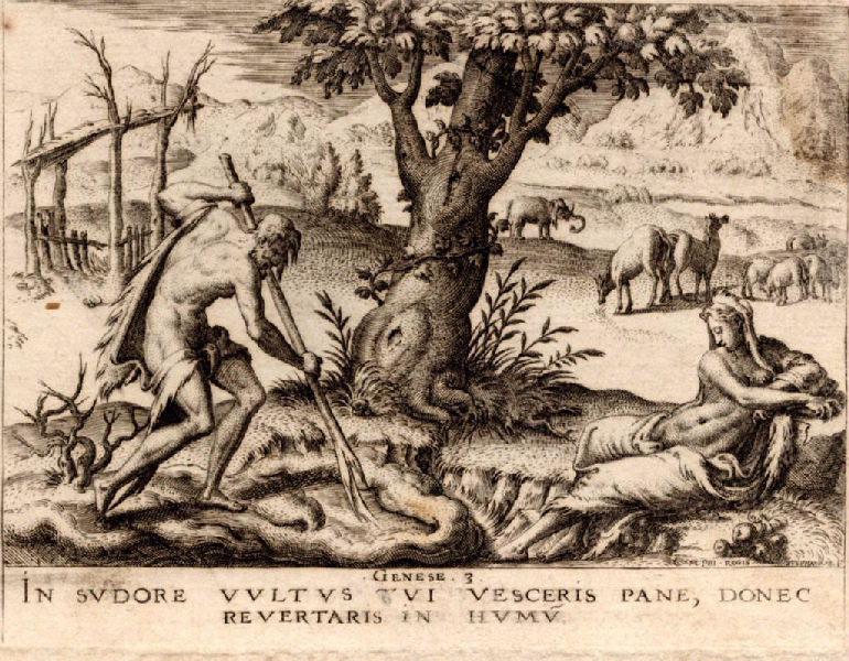 Histoire de la Genèse (07) : Adam et Eve assujettis au travail