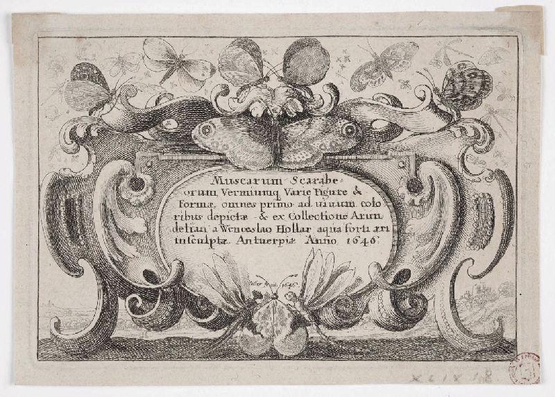 Muscarum scarabeorum (01) ; page titre d'un recueil