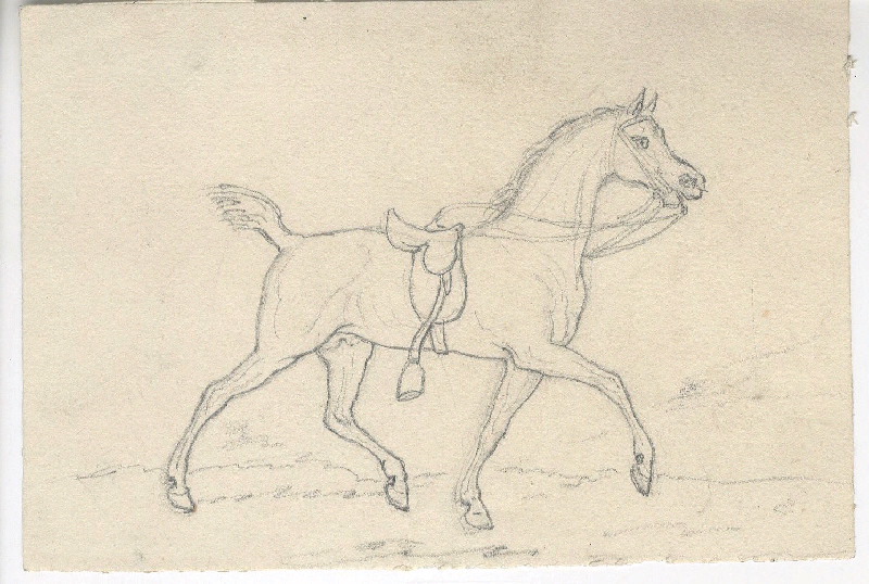 Cheval ; Dessin d'orfèvrerie