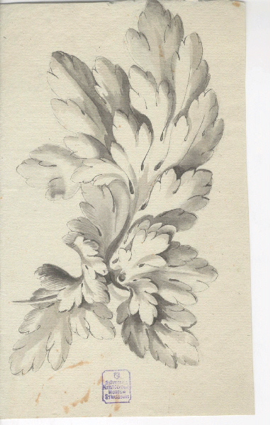 Motif décoratif ; Dessin d'orfèvrerie