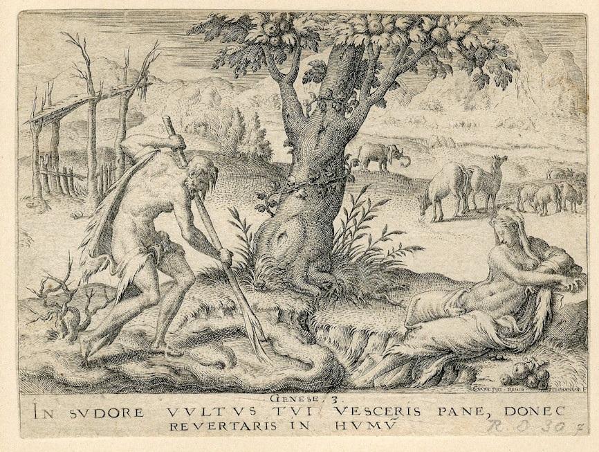 Histoire de la Genèse (07) : Adam et Eve assujettis au travail