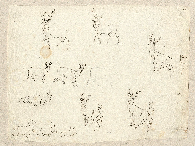 Biches et cerfs ; Dessin d'orfèvrerie ; Album de dessins d'orfèvrerie