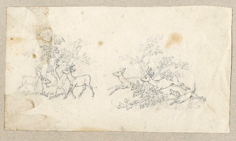 Biches et cerfs ; Dessin d'orfèvrerie ; Album de dessins d'orfèvrerie