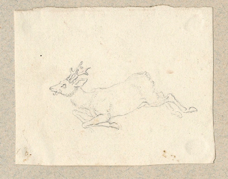 Cerf ; Dessin d'orfèvrerie ; Album de dessins d'orfèvrerie
