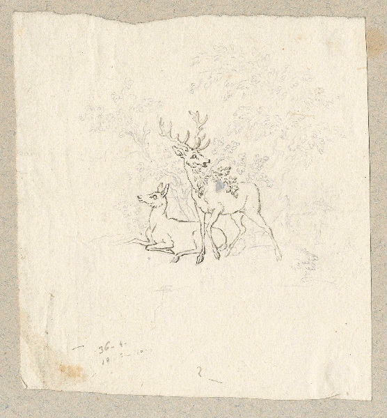 Cerf ; Biche ; Dessin d'orfèvrerie ; Album de dessins d'orfèvrerie