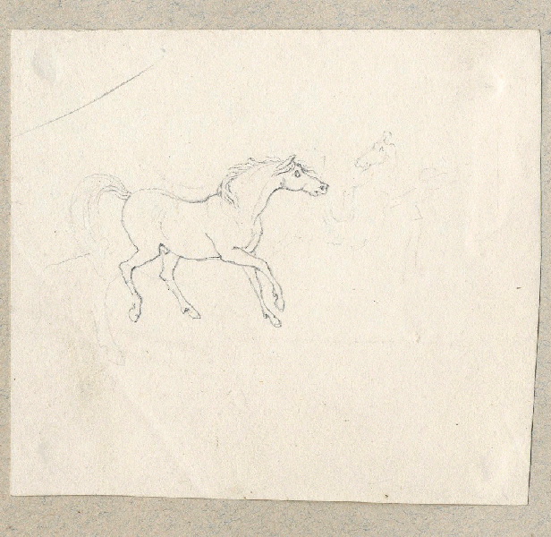Cheval ; Dessin d'orfèvrerie ; Album de dessins d'orfèvrerie