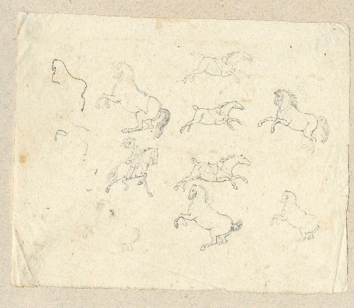 Chevaux ; Dessin d'orfèvrerie ; Album de dessins d'orfèvrerie