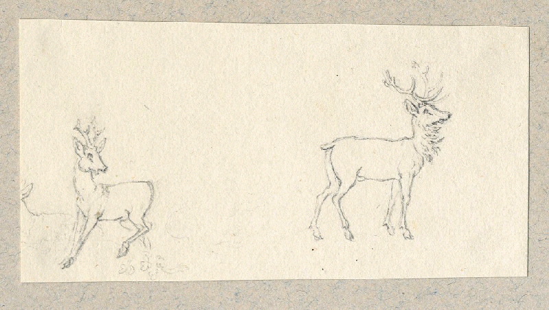 Cerf ; Dessin d'orfèvrerie ; Album de dessins d'orfèvrerie