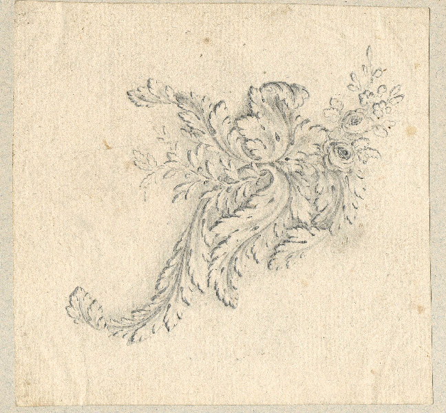 Feuilles d'acanthe et fleurs ; Dessin d'orfèvrerie