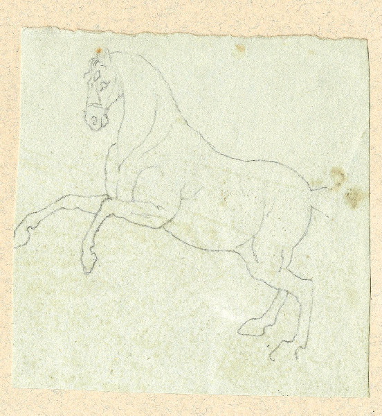 Cheval ; Dessin d'orfèvrerie